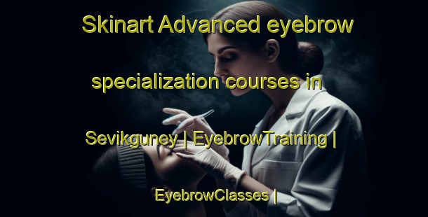 Skinart Advanced eyebrow specialization courses in Sevikguney | EyebrowTraining | EyebrowClasses | SkinartTraining-Turkey